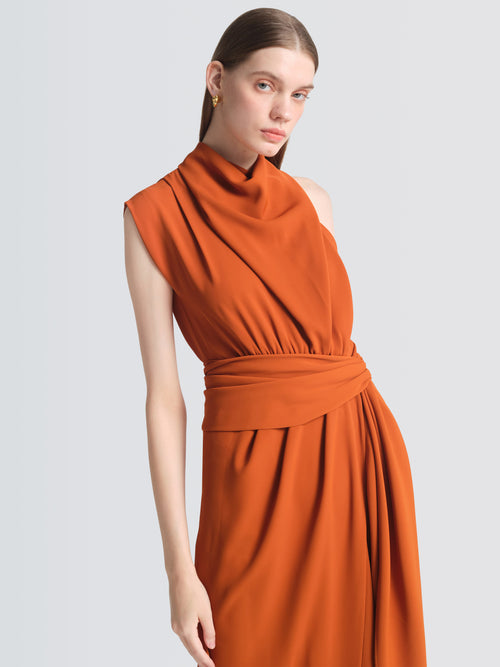 Tri Acetate Lupita Dress