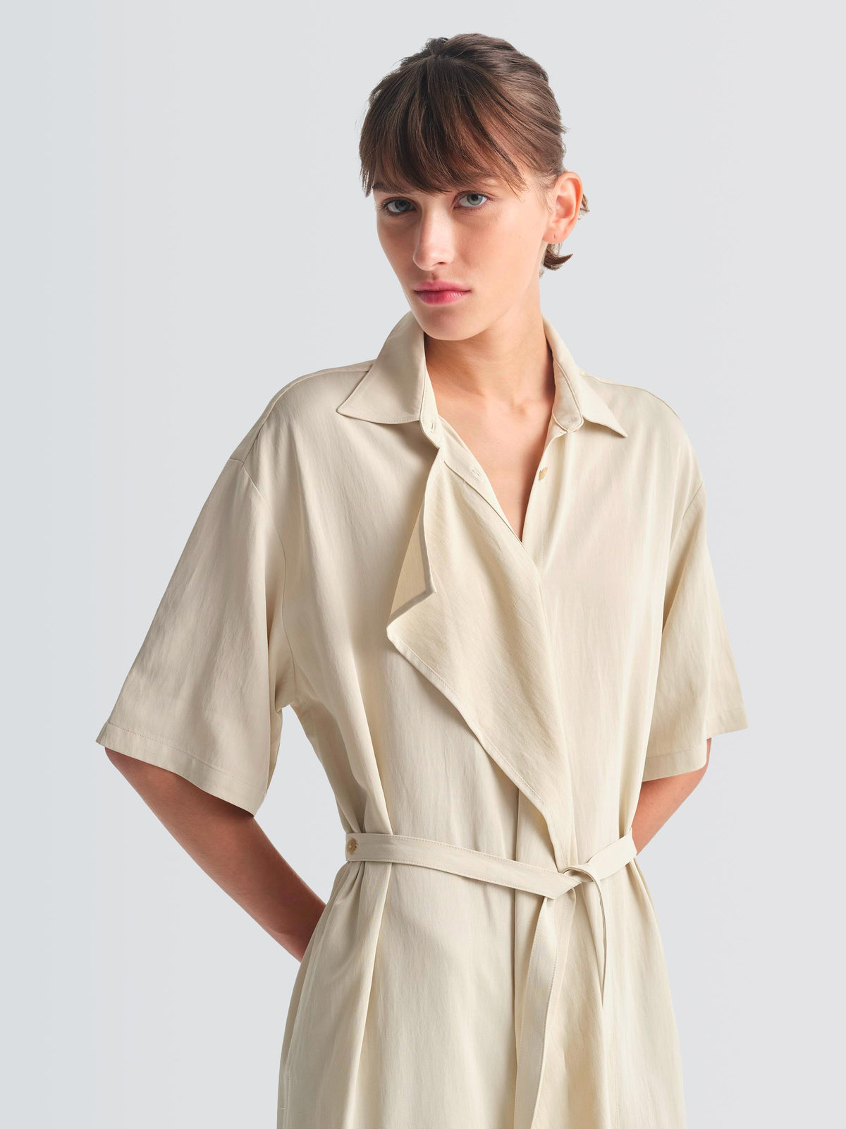 Cotton Rayon Ueno Dress