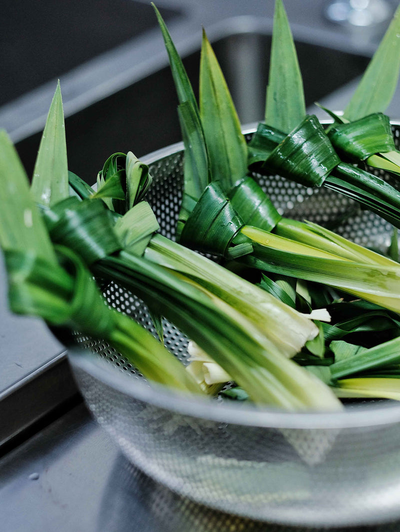 Blog_Collaboration_SweetSpots_BirdsOfParadise-4