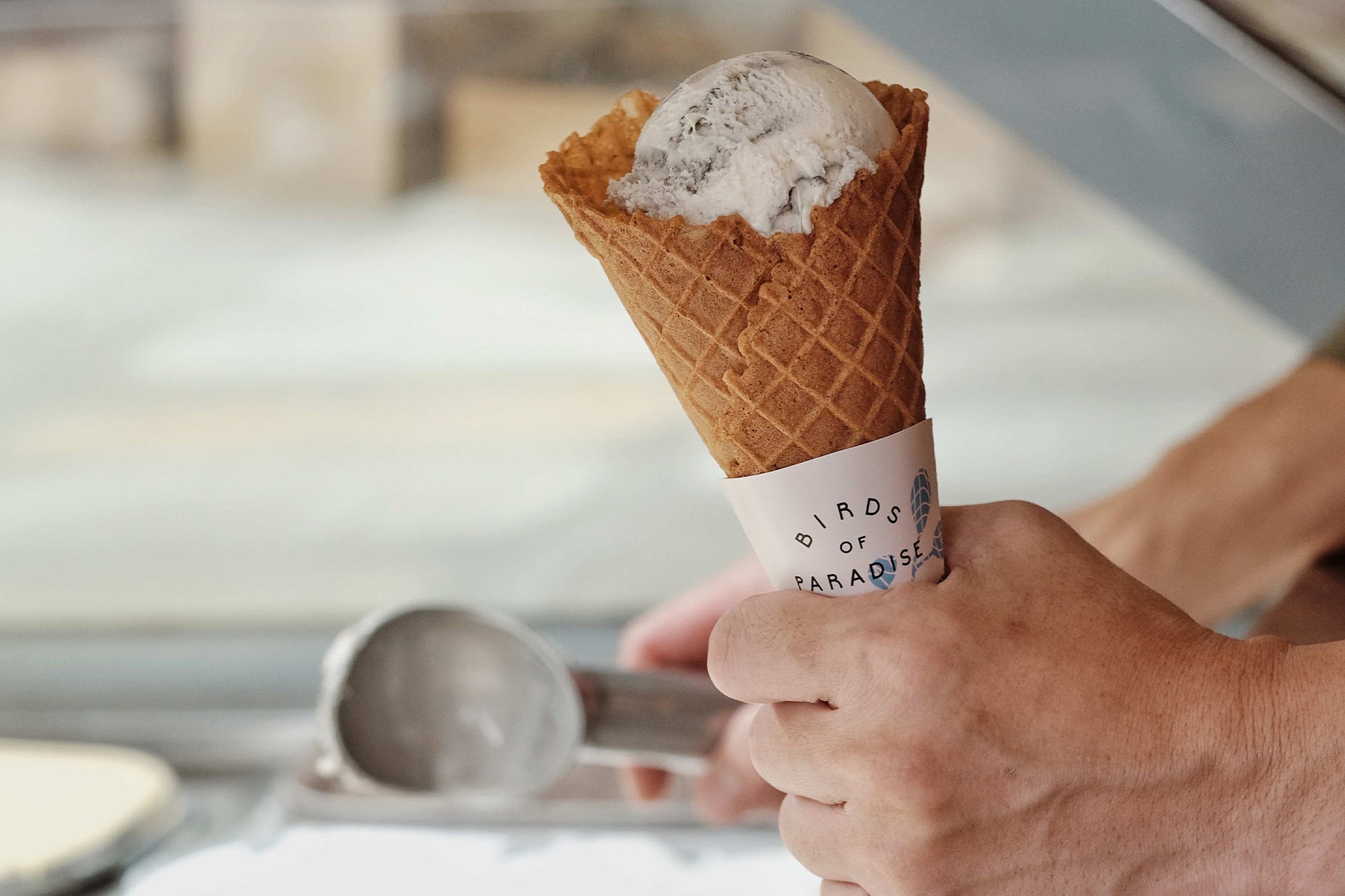 Blog_Collaboration_SweetSpots_BirdsOfParadise-7