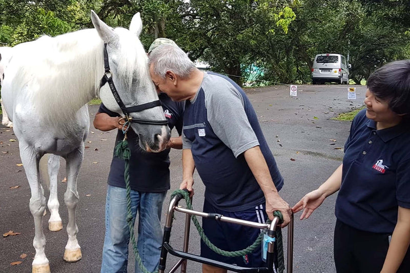 Blog_Impact_EQUAL_TherapyHorses-4