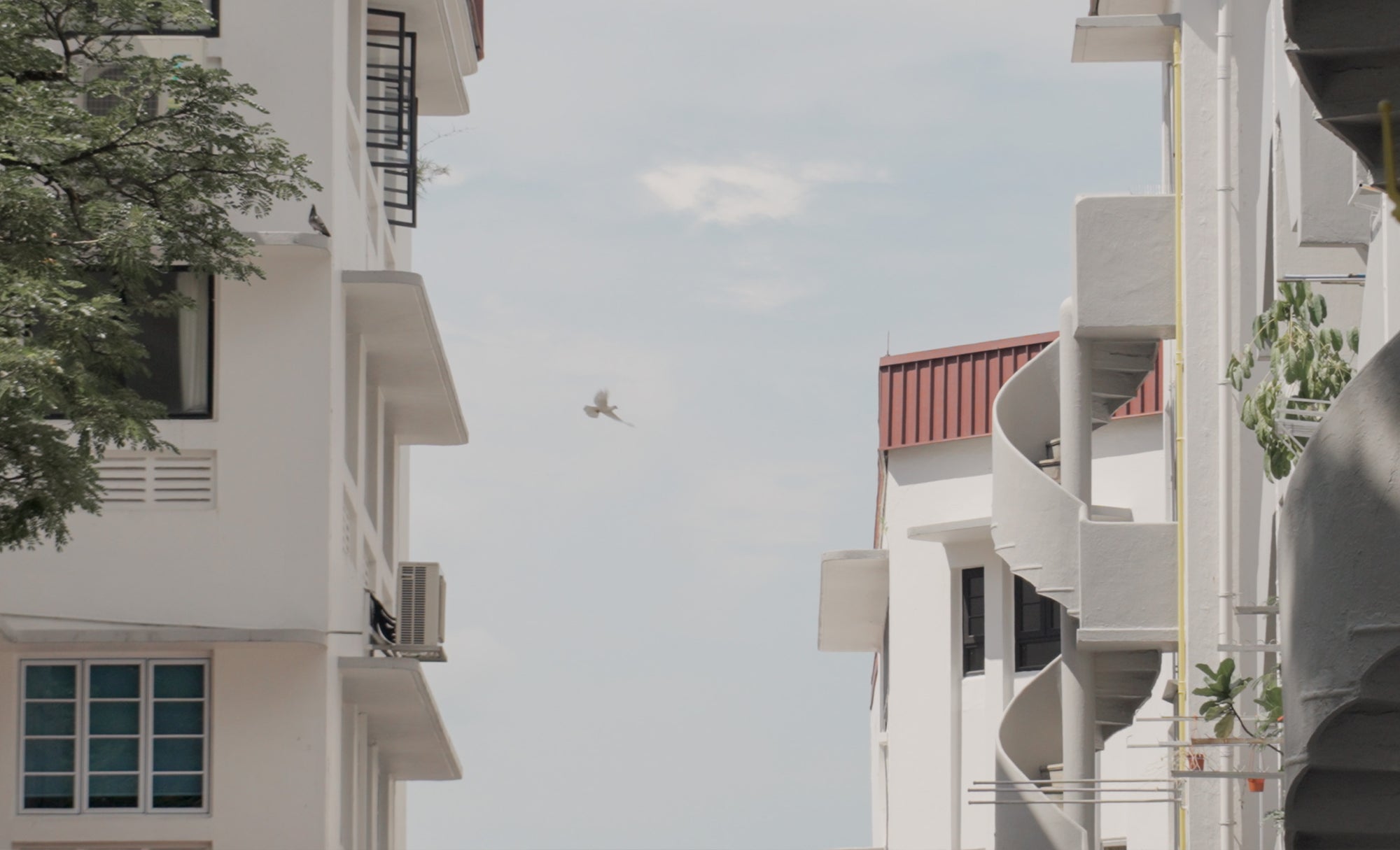 Cap30-CharmsoftheOrdinary-Discover-1