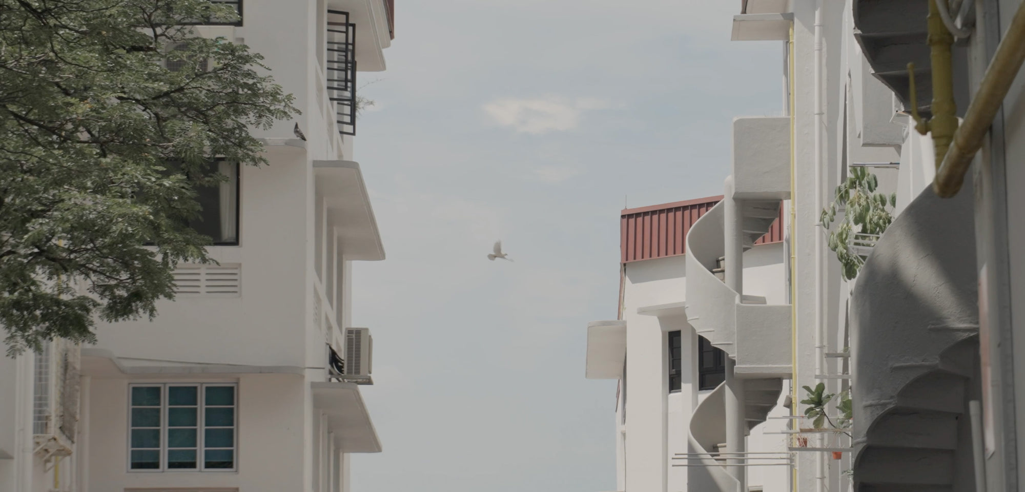 Cap30-MayD2-Homepage-Banner-Desktop-1