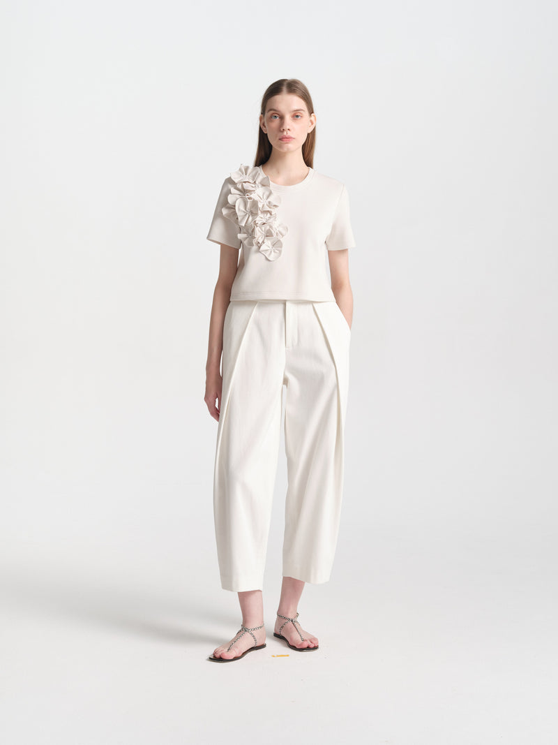 IGC_CAP_30_12_Nov_2025_021-2795_ASTER_Top_Ivory_1160
