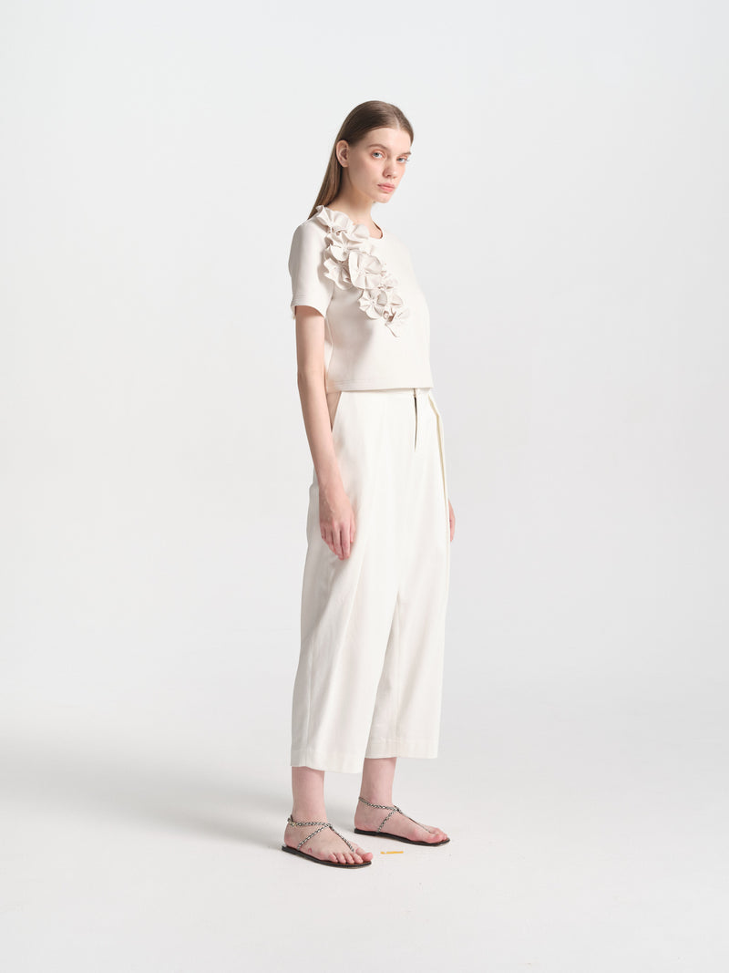 IGC_CAP_30_12_Nov_2025_021-2795_ASTER_Top_Ivory_1162