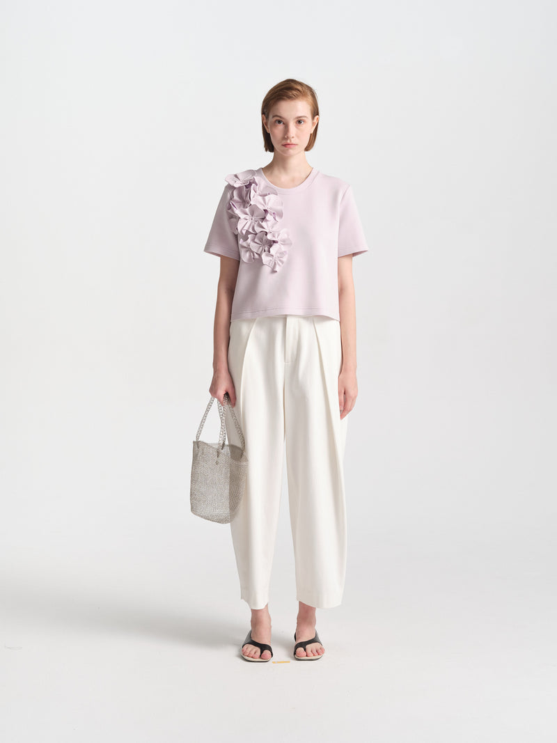 IGC_CAP_30_12_Nov_2025_038-2795_ASTER_Top_Lilac_1946