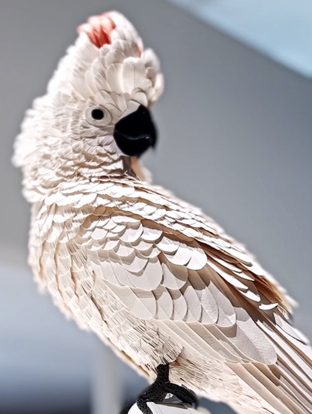 IGC_Discover_AtelierPreview_Article-10