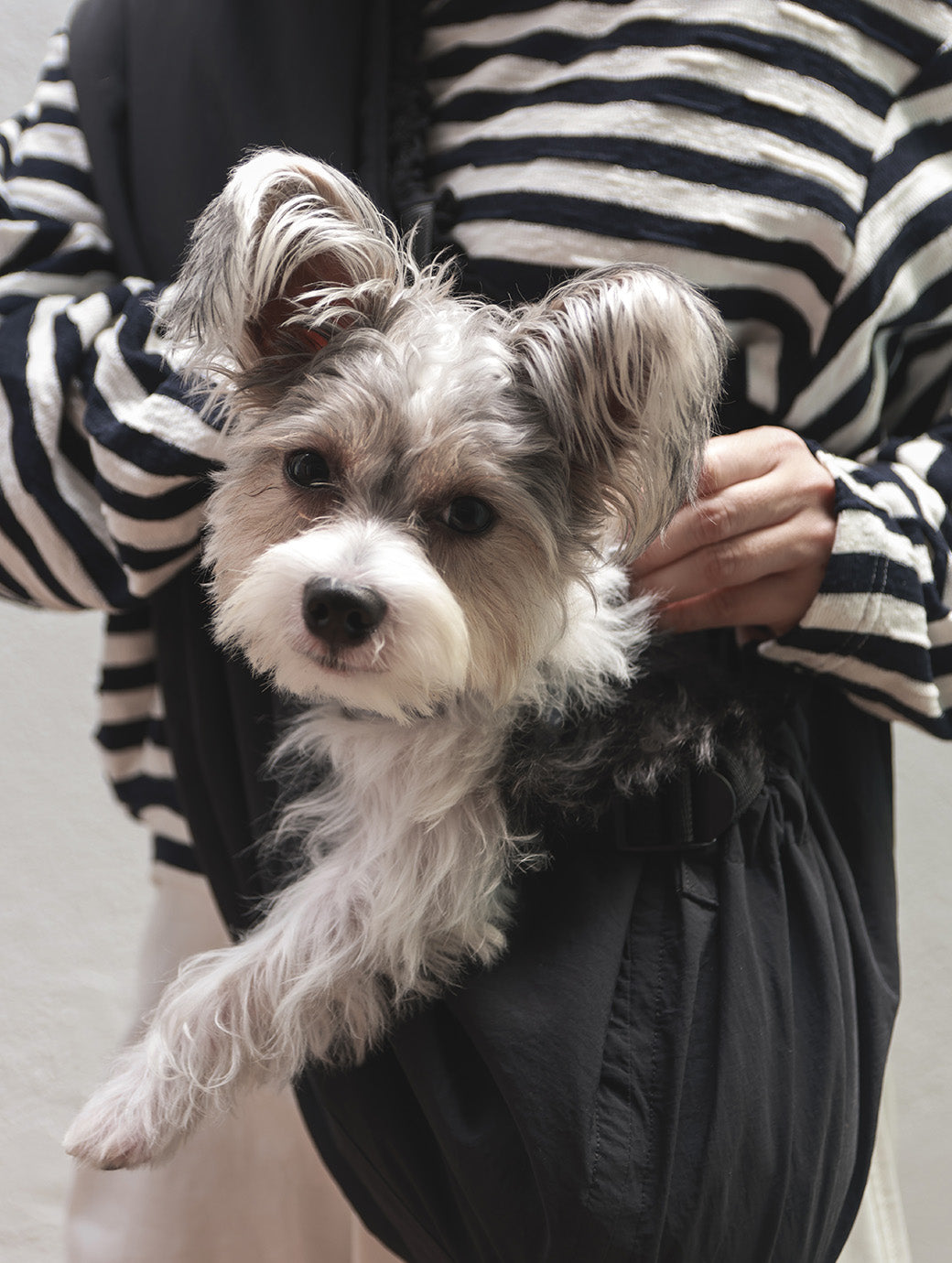 IGC_SOJAO_CloseToYou_Discover-4