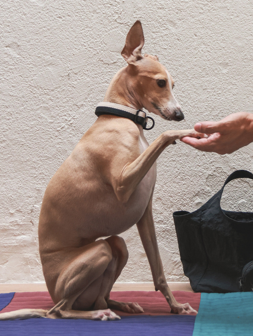 IGC_SOJAO_CloseToYou_Discover-8