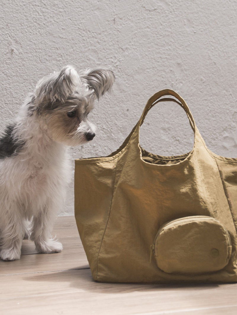 IGC_SOJAO_CloseToYou_Discover-9