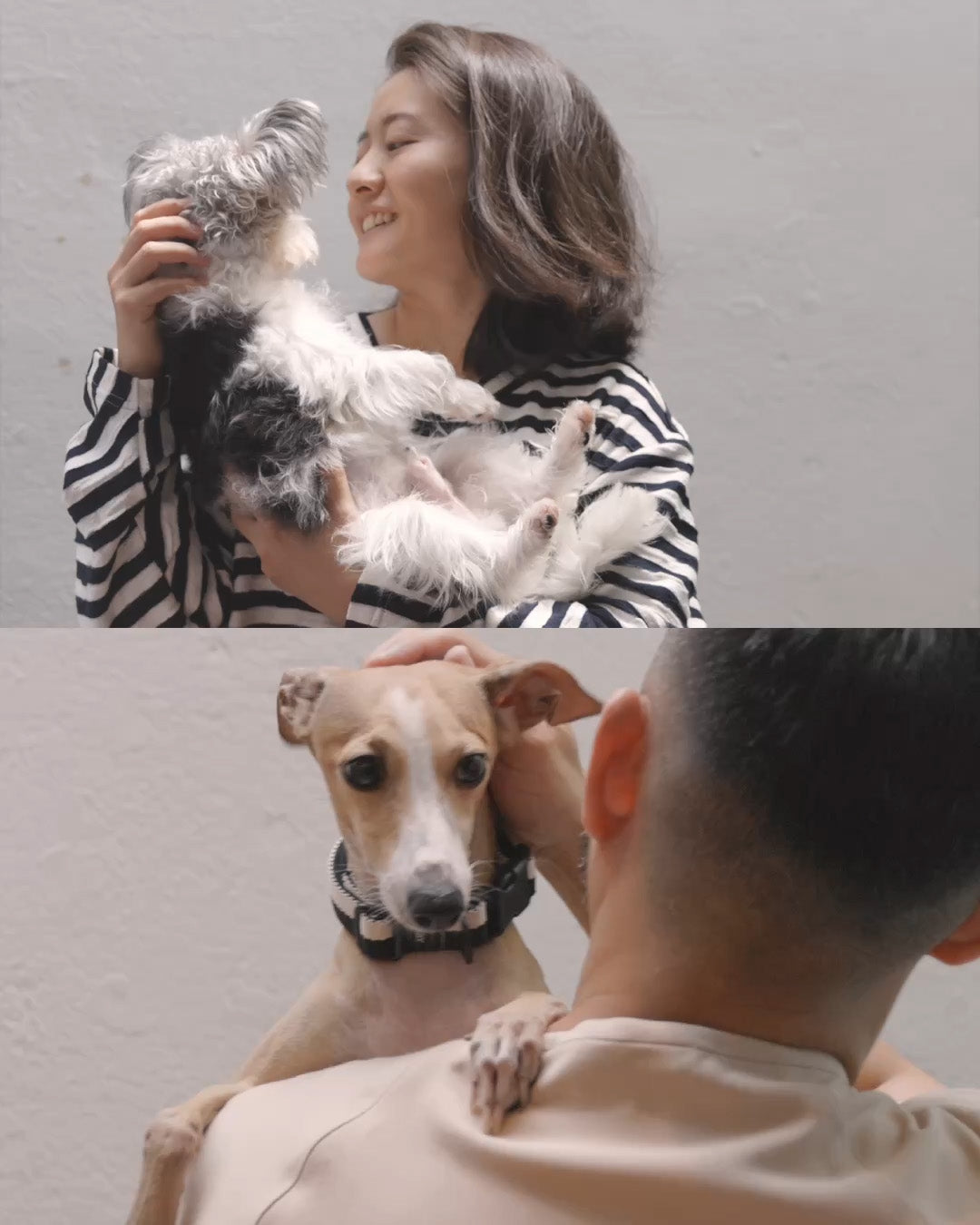 IGC_SOJAO_PetOwners_DiscoverStory-6