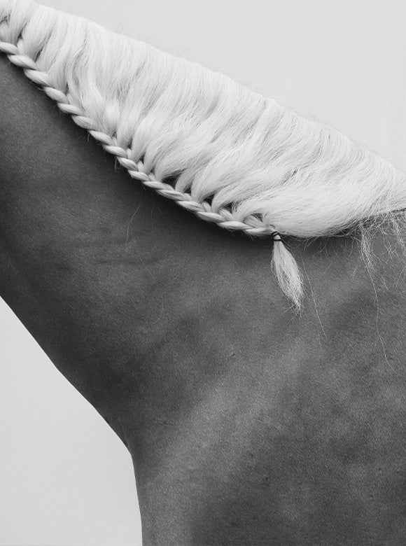 IGC_Shopify_AboutUs-12